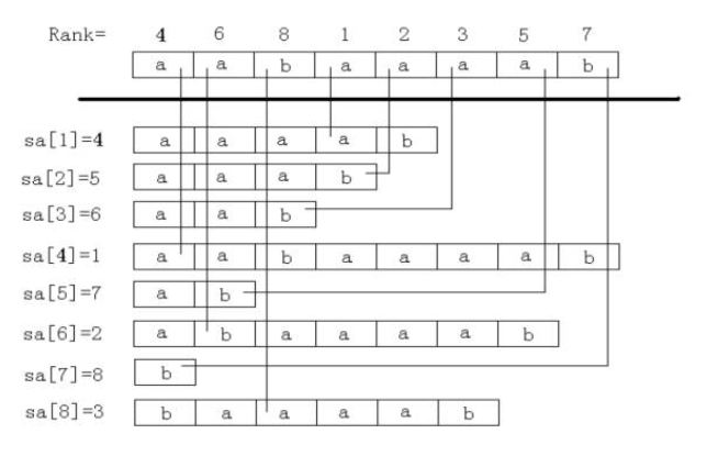 構(gòu)造后綴數(shù)組——SA