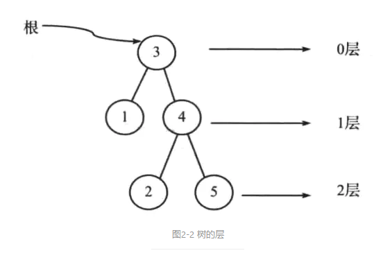 樹(shù)的層