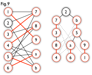 匈牙利樹(shù)