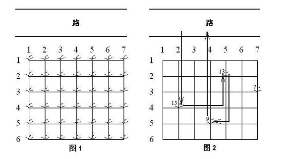 花生采摘